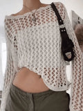 Hollow Out Crochet Long Sleeve Knit Top-Outfit