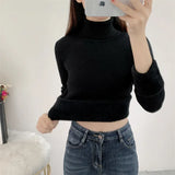 Sweater Female 2023 Thick One Velvet Bottom Shirt With Slim Long Sleeve Soft Waxy Knit Top-Outfit