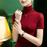 Autumn Base Mesh Tees Women Half Turtleneck Short Sleeve T Shirts Lady Stretchy Tops Female Basic T-shirt-Outfit