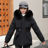 Winter 2023 New Women's Down Padded Clothes Cotton Clothes Women's Winter-Outfit