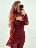 Mesh Lace Turtleneck Sleeve Mini Dress-Outfit