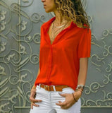 Long Sleeve Solid V-Neck Chiffon
