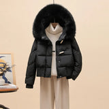 Korean Version Of The Ox Horn Button Down Jacket Women's Short Style 2024 Winter New Big Hair Collar And Thick Small Warm Coat Tide-Outfit