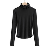 Women 2020 Fashion Solid Crop Turtleneck Knitted Sweater jumper big strethy Slim Pullovers Chic Tops