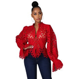 Long Sleeve Hollow Out Mesh Lace Sheer See Through