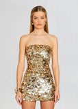 Sequin Bodycon Tube Mini Dress-Outfit