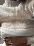 High Neck Semi Sheer Knit Top-Outfit