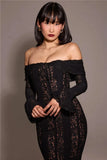 Lace Long Sleeve Off-shoulder Dress-Outfit