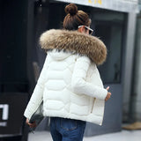 2023 New Autumn And Winter Korean Version Big Hair Collar Short Cotton-Padded Clothes Female Slim Show Thin Korean Version Cotton-Padded Jacket Students-Outfit