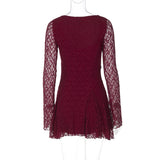 Lace Long Sleeve Hollow Out V-Neck Mini Dress-Outfit