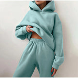 Women's Tracksuit Autumn Fleece Sweatshirts Two Piece Set Casual Oversized Solid Female Sports Hoodie Suit Long Pant