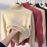 Winter Sweater Women Elegant Thicken Velvet Lined Warm Sueter Knitted Pullover Slim Tops Jersey Knitwear Jumper