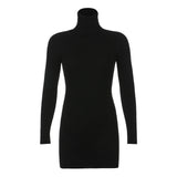 High Neck Long Sleeve Hip Dress-Outfit