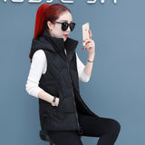 2023 New Down Cotton Vest Autumn And Winter Short Cotton-Padded Jacket Winter Horse Clip Can Take Off The Hat Vest Female Pure Color Vest-Outfit