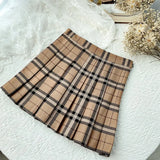 Brown Plaid Pleated Mini Skirt-Outfit