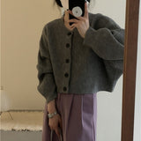 Fongt Neck Single Breasted Bat Sleeve Knit Cardigan Female 2024 Autumn Loose Lazy Gentle Wind Short Sweater Coat-Outfit