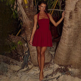 Halter Neck Sleeveless Pleated Mini Dress-Outfit