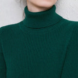 Turtleneck Slim Sweater Women Pullovers 2021 Autumn Thick Long Sleeve Basic All-match Tops Ladies Fashion Office