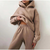 Women's Tracksuit Autumn Fleece Sweatshirts Two Piece Set Casual Oversized Solid Female Sports Hoodie Suit Long Pant