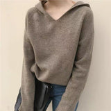 Trend Ins Hooded Sweater Sweater Thin Autumn Sweater Long-Sleeved Sweater Jacket-Outfit