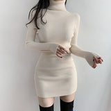 High Neck Long Sleeve Hip Dress-Outfit