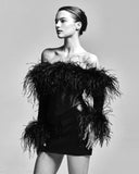 Fongt Dress 2025 New Shoulder Long-Sleeved Feather Dress For