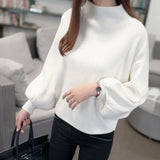 Thick Solid Color Half high Collar