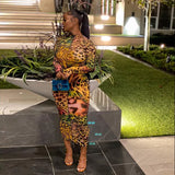 Farbic Leopard Pattern Print Maxi Dresses For Women Sexy See Through Ruffle Skinny Attractive Clubwear Party