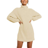 Fongt And Winter New Women's Turtleneck Medium Long Sweater Sweater